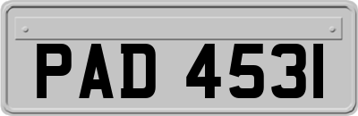PAD4531