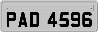 PAD4596