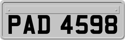 PAD4598