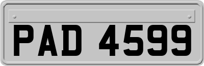 PAD4599