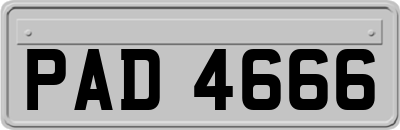 PAD4666