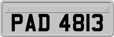 PAD4813