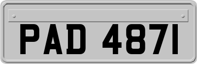 PAD4871