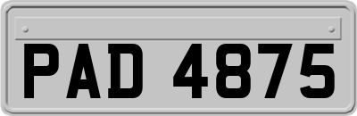 PAD4875
