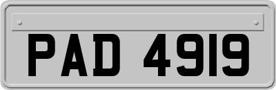 PAD4919