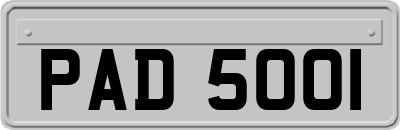 PAD5001