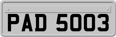 PAD5003