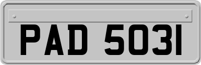 PAD5031