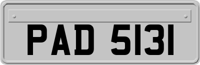 PAD5131