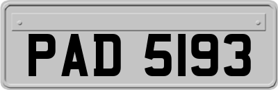 PAD5193