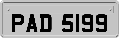 PAD5199
