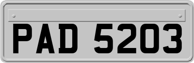 PAD5203