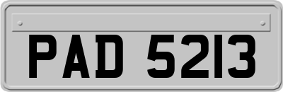 PAD5213