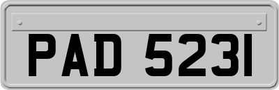 PAD5231