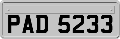 PAD5233