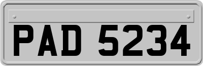 PAD5234