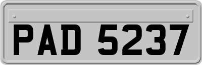 PAD5237