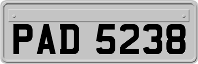PAD5238