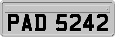 PAD5242