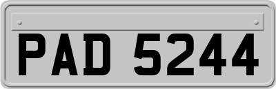 PAD5244