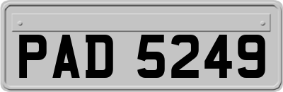 PAD5249
