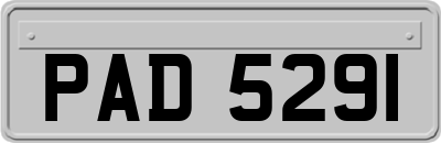 PAD5291
