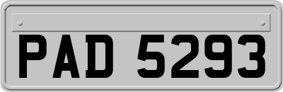PAD5293