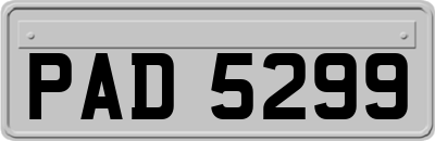 PAD5299