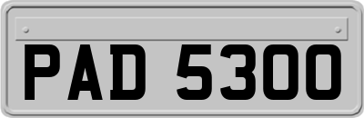 PAD5300