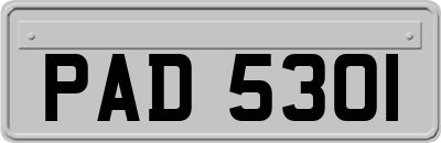 PAD5301
