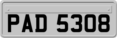 PAD5308