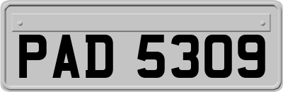PAD5309