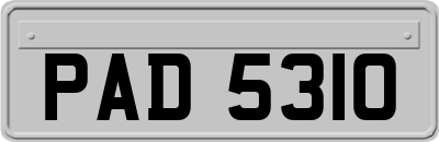 PAD5310