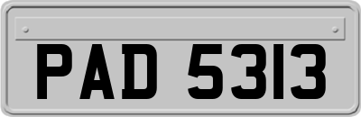 PAD5313