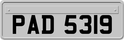 PAD5319