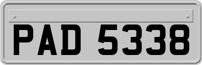 PAD5338
