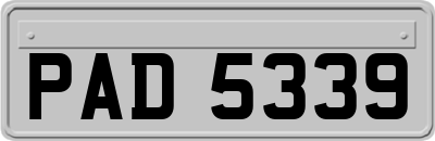 PAD5339