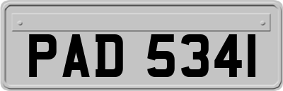 PAD5341