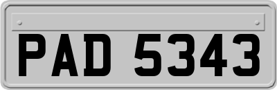 PAD5343