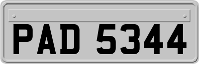 PAD5344