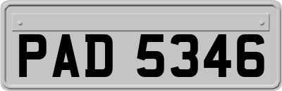 PAD5346