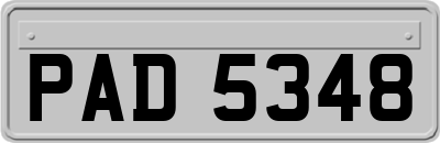 PAD5348
