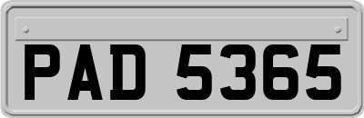 PAD5365