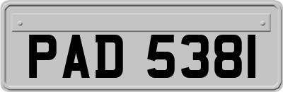 PAD5381