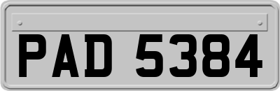 PAD5384