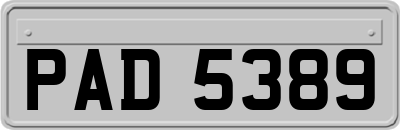 PAD5389