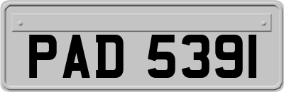 PAD5391