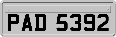 PAD5392