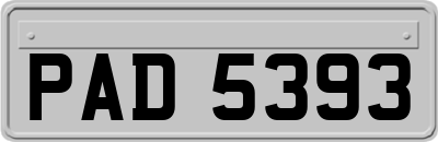 PAD5393