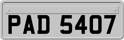 PAD5407